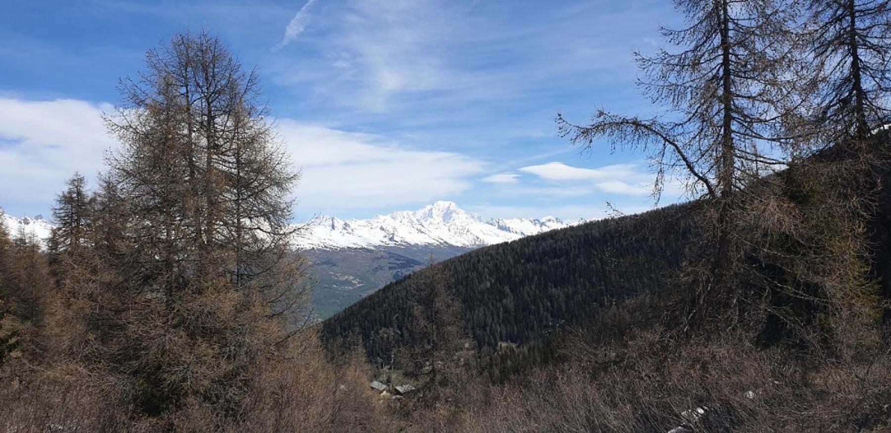 Residence Plagne Lauze - Maeva Home - Studio 2 Personnes - Selection Mae-9201 Macot-la-Plagne Экстерьер фото